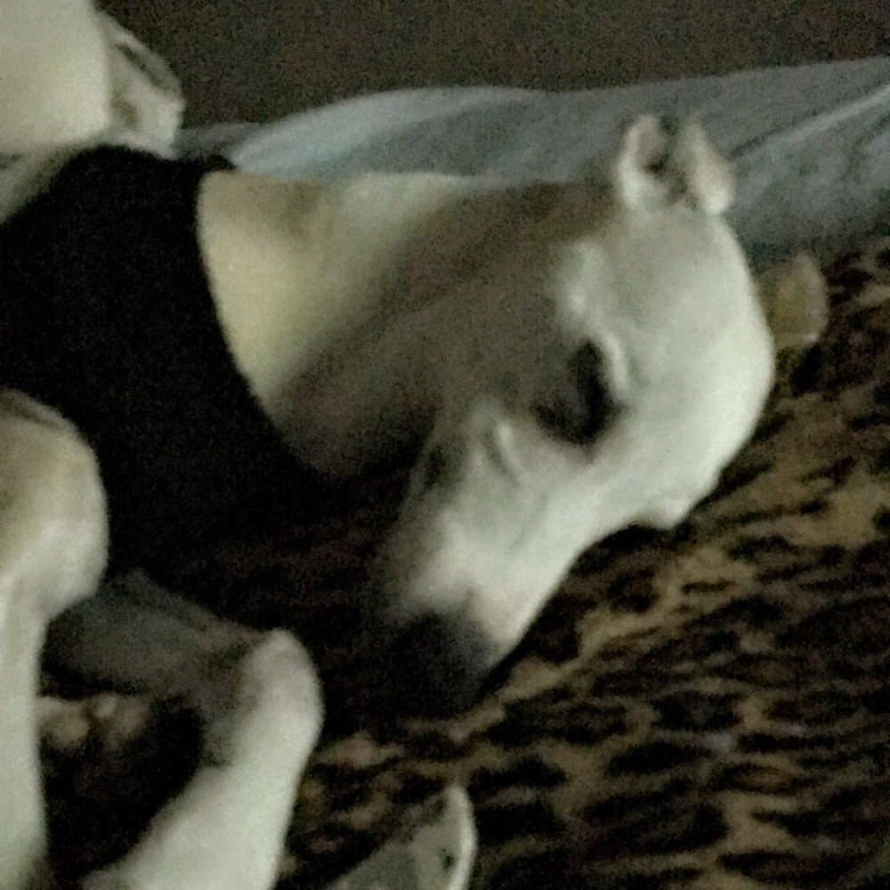 Meet your Posher, Psyche